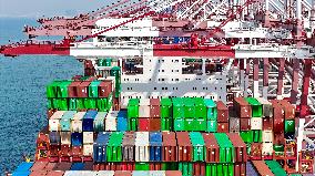 Shandong Ports Cargo Throughput