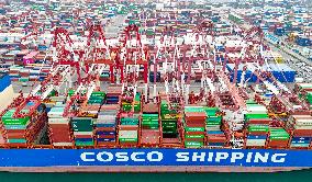 Shandong Ports Cargo Throughput