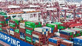 Shandong Ports Cargo Throughput