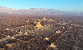 World Heritage Western Xia Mausoleum