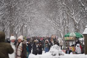 Snow-Covered Central Park - NYC