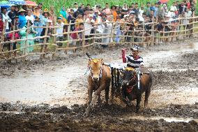 Probolinggo Bull Racing - Indonesia