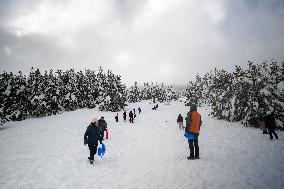 Snow Storm In Girona - Spain -