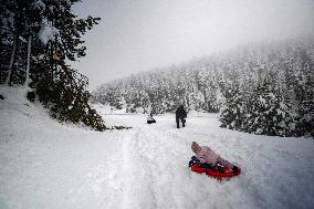 Snow Storm In Girona - Spain -