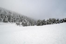 Snow Storm In Girona - Spain -