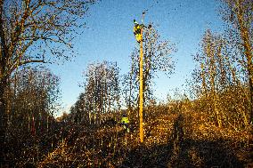 Storm and strong winds in Estonia