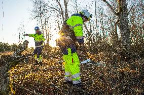 Storm and strong winds in Estonia