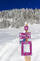 Illustration - Aravis Range