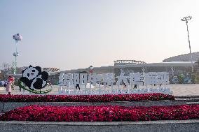 China Conservation and Research Center for the Giant Panda - Mianyang