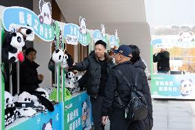 China Conservation and Research Center for the Giant Panda - Mianyang