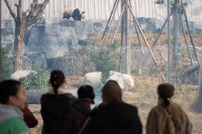 China Conservation and Research Center for the Giant Panda - Mianyang