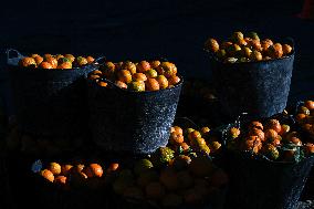 The 2025-2026 Bitter Orange Harvesting Season in Seville Has Begun