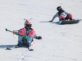 Ice And Snow Industry Development In Zhejiang - China