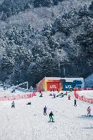 Ice And Snow Industry Development In Zhejiang - China