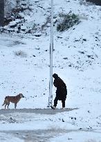 Rare Heavy Snowfall Blankets Erbil After 6 Years - Iraq