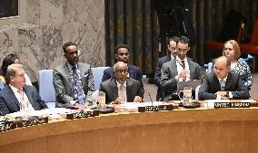 U.N. session on Israeli recognition of Somaliland