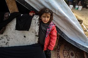 Gaza Displaced Palestinians - Gaza City