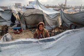 Gaza Displaced Palestinians - Gaza City