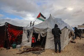 Gaza Displaced Palestinians - Gaza City