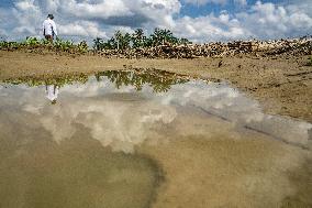Leuser's Grief Under Tropical Cyclone Senyar - Indonesia