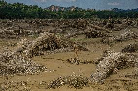 Leuser's Grief Under Tropical Cyclone Senyar - Indonesia