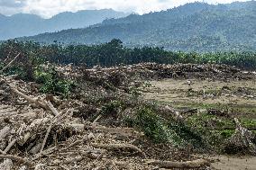 Leuser's Grief Under Tropical Cyclone Senyar - Indonesia