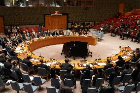 UN Security Council Emergency Meeting on Somalia