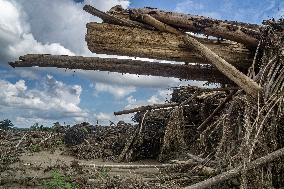 Leuser's Grief Under Tropical Cyclone Senyar - Indonesia