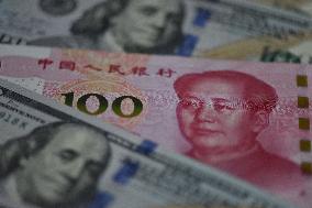 USD RMB Banknotes