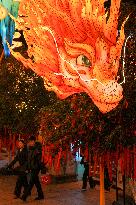 New Year Lantern Decorations at the Confucius Temple - Nanjing
