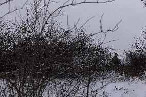 72th Mechanized Brigade - Kharkiv Region