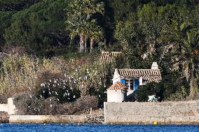 ‘La Madrague’ The Iconic Seafront Villa of Brigitte Bardot - Saint-Tropez