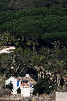 ‘La Madrague’ The Iconic Seafront Villa of Brigitte Bardot - Saint-Tropez