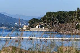 ‘La Madrague’ The Iconic Seafront Villa of Brigitte Bardot - Saint-Tropez