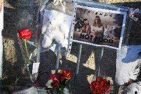 Hommage To Brigitte Bardot Outside Her House - Saint Tropez