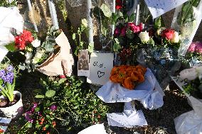 Hommage To Brigitte Bardot Outside Her House - Saint Tropez