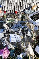 Hommage To Brigitte Bardot Outside Her House - Saint Tropez