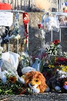 Hommage To Brigitte Bardot Outside Her House - Saint Tropez