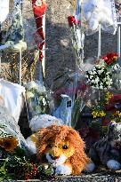 Hommage To Brigitte Bardot Outside Her House - Saint Tropez