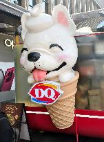 DQ