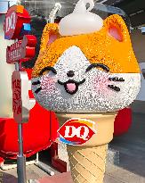 DQ