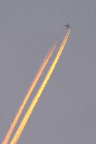 Carbon Emissions in The Aviation Industry