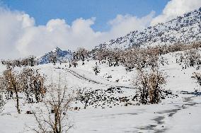 Snowfall In Kurdistan Region - Iraq