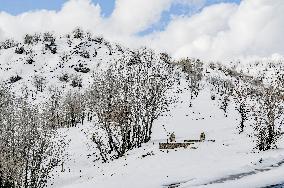 Snowfall In Kurdistan Region - Iraq