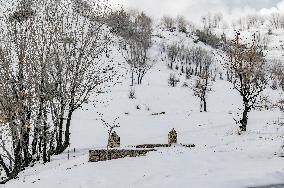 Snowfall In Kurdistan Region - Iraq