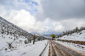 Snowfall In Kurdistan Region - Iraq