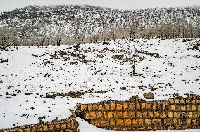 Snowfall In Kurdistan Region - Iraq