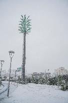 Snowfall In Kurdistan Region - Iraq