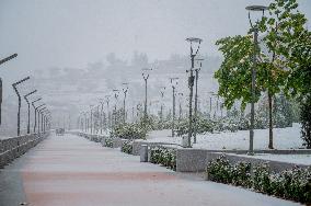 Snowfall In Kurdistan Region - Iraq