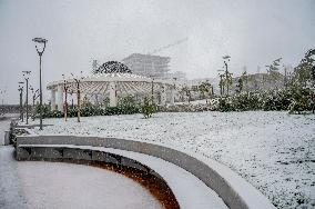 Snowfall In Kurdistan Region - Iraq